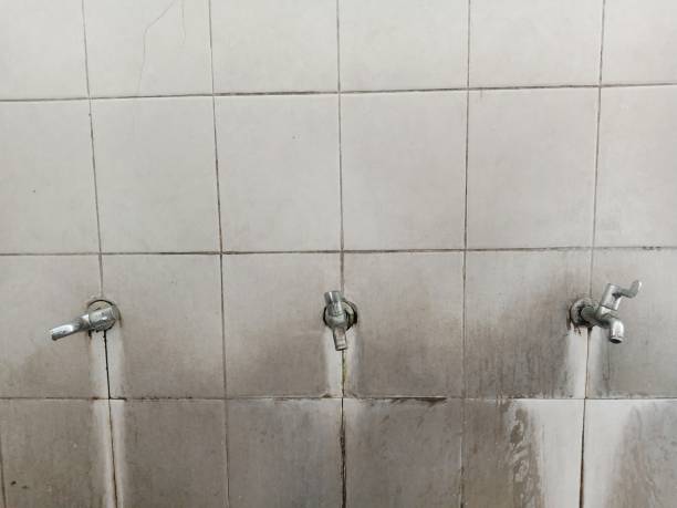 Best Fire Damage Restoration  in Pullman, WA
